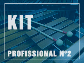 Kit Profissional 2